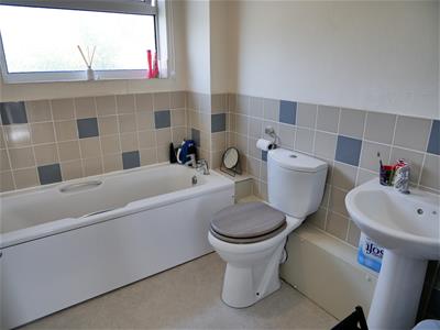 Picture 13